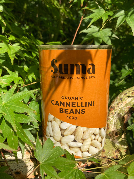 Organic Cannellini Beans 400g