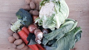 Babbinswood Organic Vegetable Box (Medium)