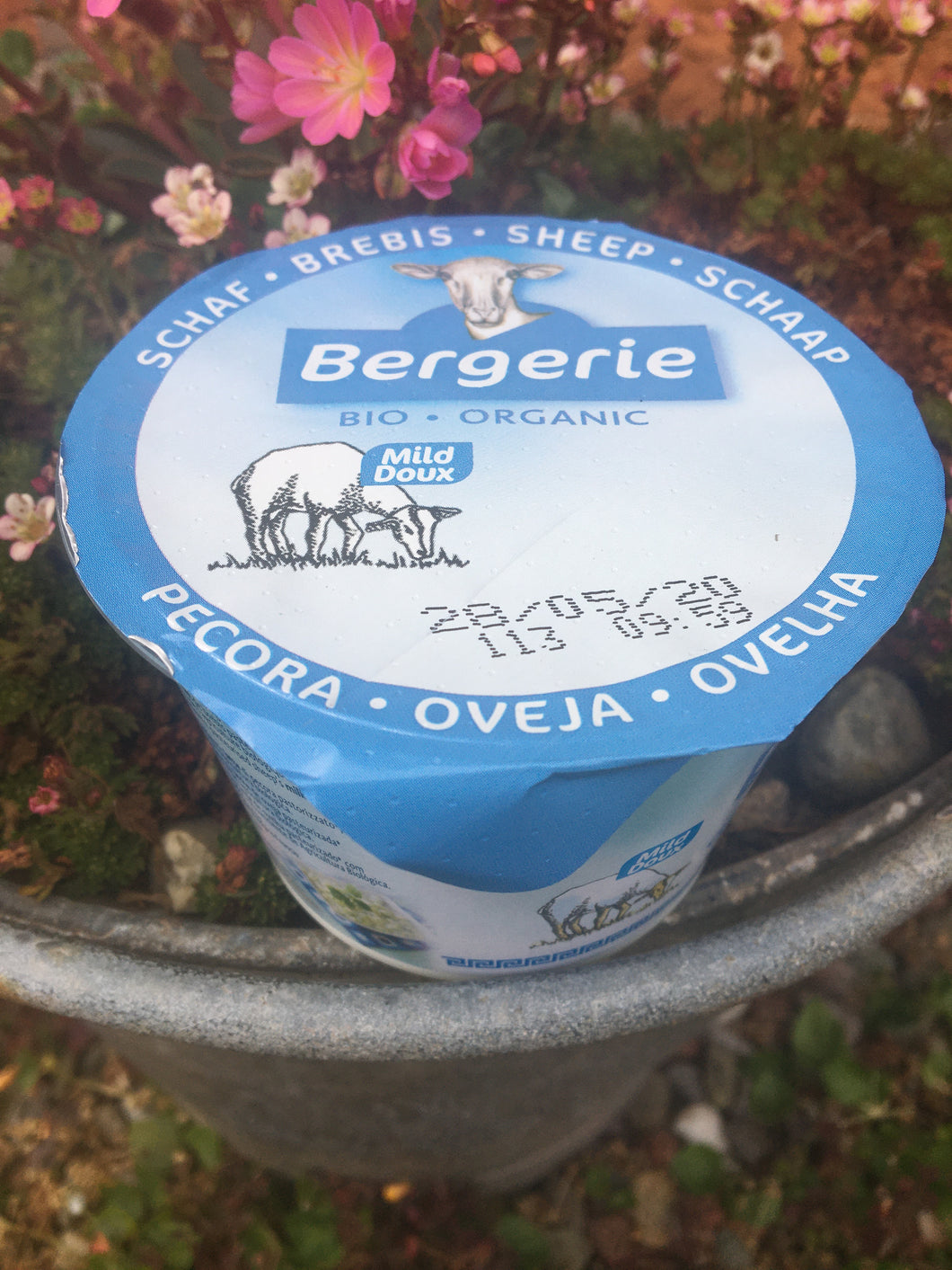 Bergerie Organic  Sheep Milk Yogurt Greek Style 250g