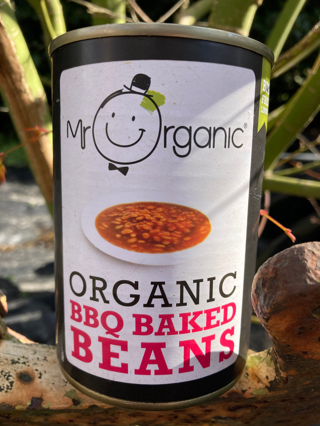 Mr Organic BBQ Baked Beans 400g