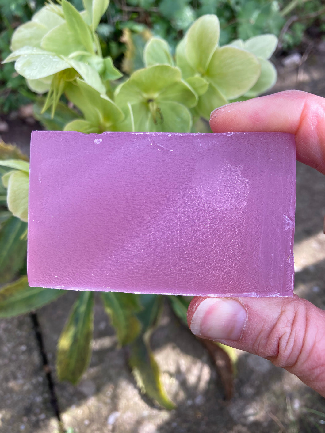 Suma Alter/native  Unboxed Soap Glycerine and Pink Grapefruit 90g