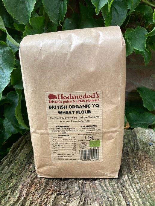 Hodmedod's Organic YQ Population Flour 1.5KG