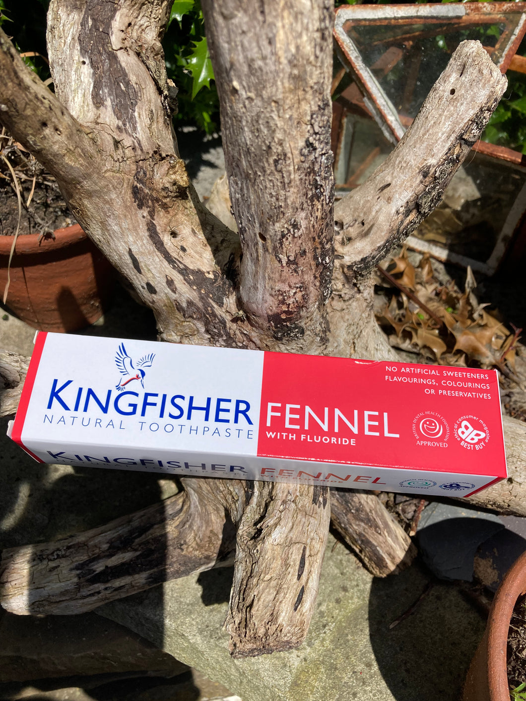 Kingfisher Fennel Toothpaste with Fluoride 100ml